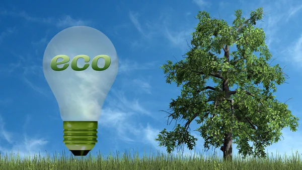 Eco Texto Lâmpada Com Árvore Conceito Ecologia Isolado Fundo Céu — Fotografia de Stock