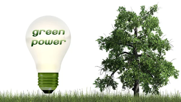 Texto Energia Verde Lâmpada Com Árvore Conceito Ecologia Isolado Fundo — Fotografia de Stock