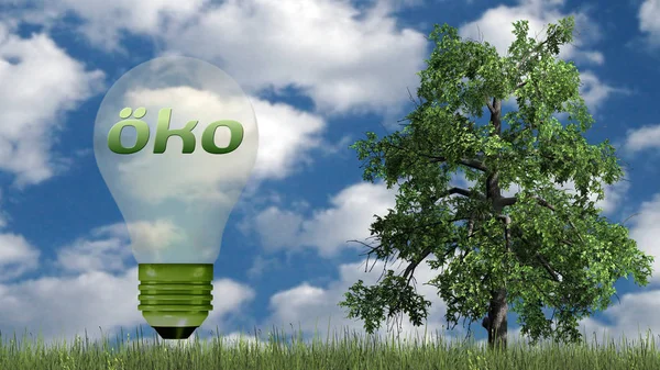 Eco Testo Lampadina Con Albero Concetto Ecologia Isolato Sfondo Cielo — Foto Stock