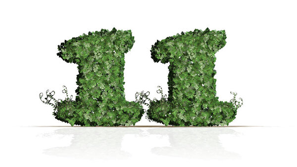 Number 11 created of green ivy leaves - isolated on a white background