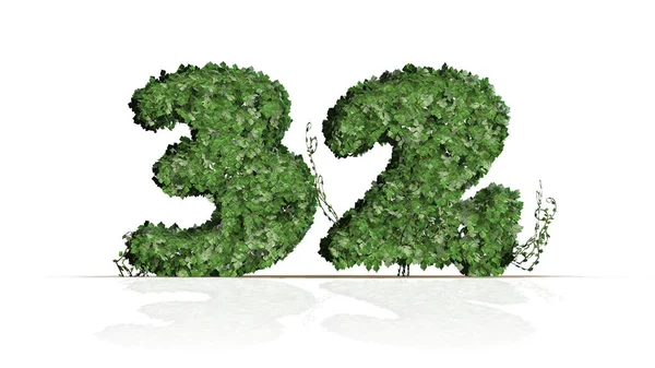 Number Created Green Ivy Leaves Isolated White Background — Stock Photo, Image