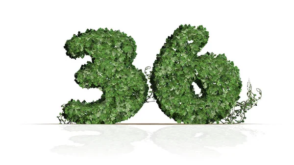 Number Created Green Ivy Leaves Isolated White Background — Stock Photo, Image