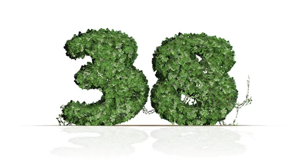 Αριθμός Που Δημιουργήθηκε Από Πράσινα Φύλλα Κισσός Απομονώνονται Λευκό Φόντο — Φωτογραφία Αρχείου