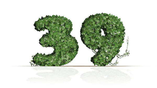 Number Created Green Ivy Leaves Isolated White Background — Stock Photo, Image