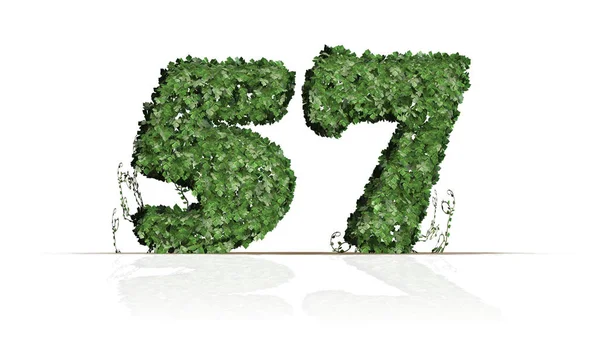 Number Created Green Ivy Leaves Isolated White Background — Stock Photo, Image