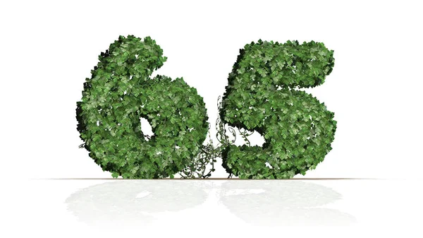 Sayı Yeşil Sarmaşık Yaprakları Oluşturuldu Beyaz Bir Arka Planda Izole — Stok fotoğraf