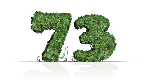 第73号创造了绿色常春藤叶子 被隔绝在白色背景 — 图库照片