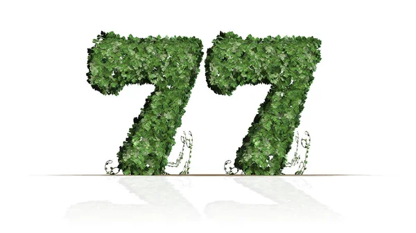 77号创建的绿色常春藤叶 隔离在白色背景 — 图库照片