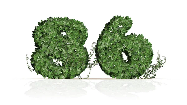 Číslo Zelených Břečťových Listů Izolované Bílém Pozadí — Stock fotografie
