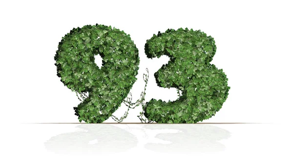 93号绿色常春藤叶创造 在白色背景被隔绝 — 图库照片