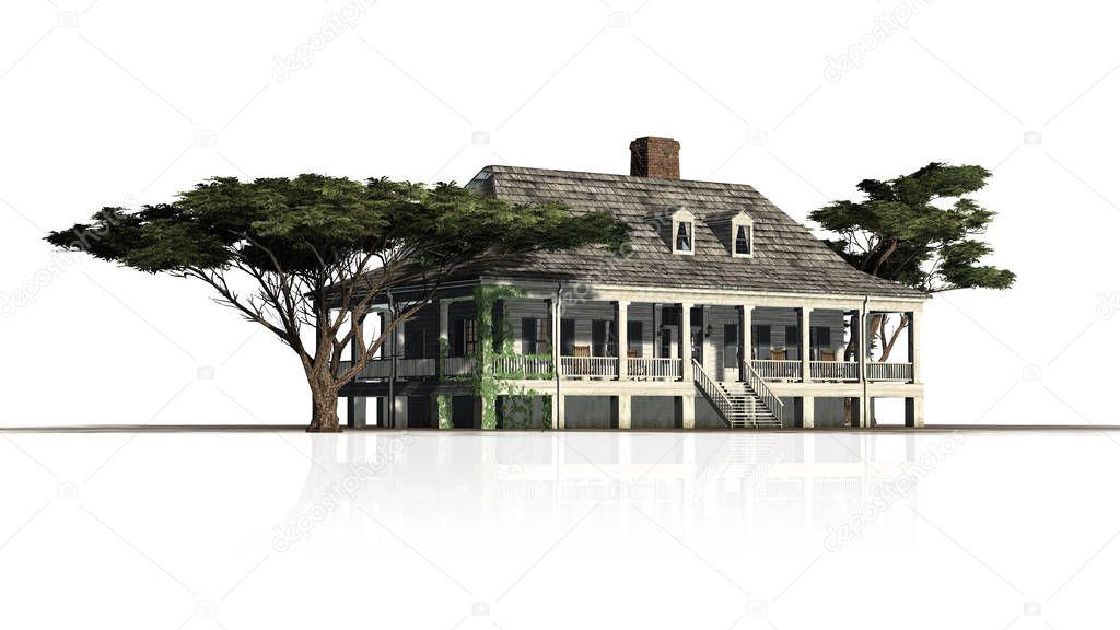 Plantation Houses with umbrella pine trees with reflections - isolated on white background