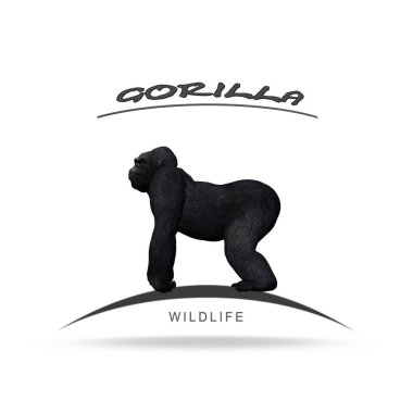 Beyaz bir arka plan üzerinde izole yaban hayatı - Gorilla adı yazı ile-