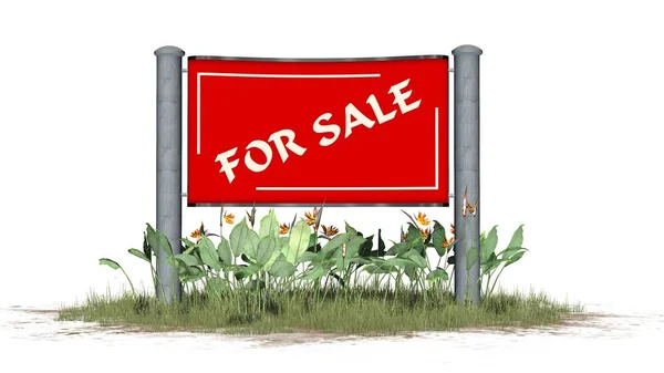 Sale Sign Board Text Grass Business Concept Isolated White Background — Stock Photo, Image