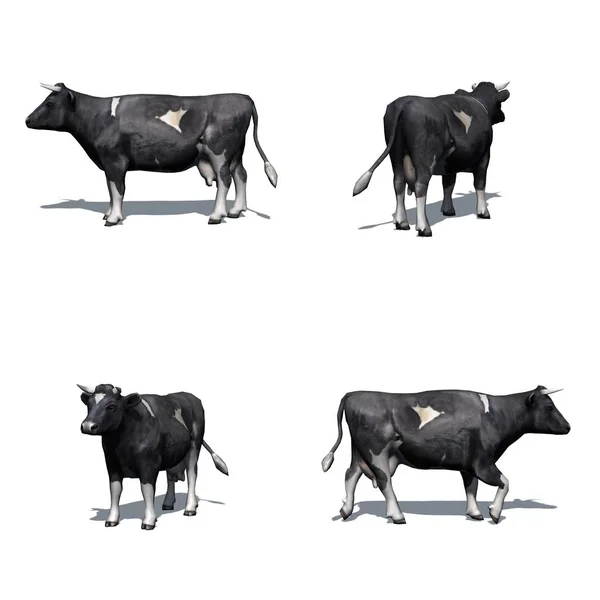 床に影を持つ黒い白い牛のセット 白い背景に隔離 — ストック写真