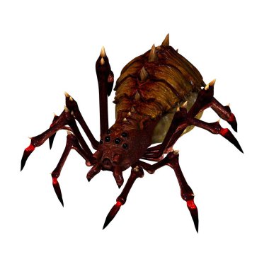 fantezi örümcek - sağdan sideview - beyaz arka plan üzerinde izole