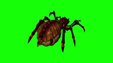 fantezi örümcek çalışıyor - geri görünüm - yeşil ekran