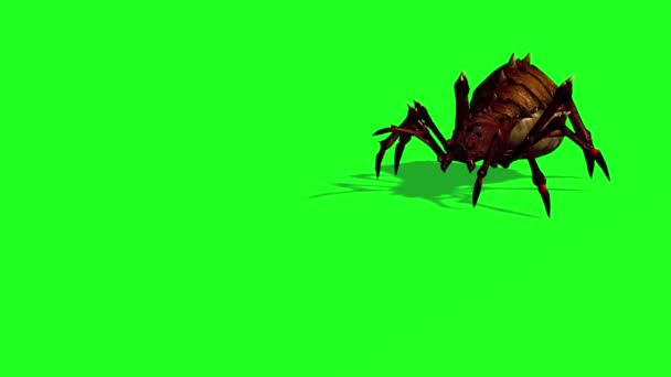 Fantasy Spider Verschijnt Loopt Stopt Met Schaduw Vloer Groen Scherm — Stockvideo