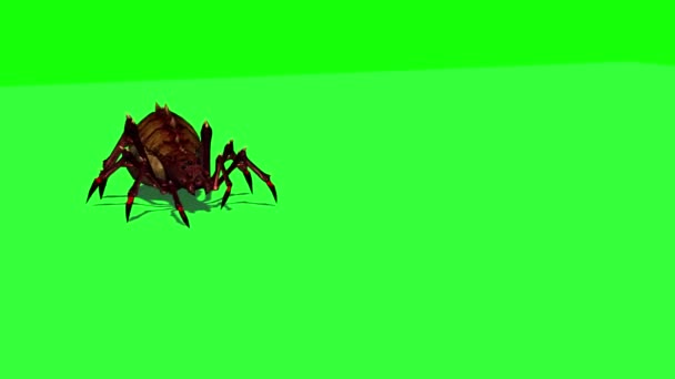 Fantasie Spinne Kommt Steht Schaut Sich Und Läuft Weg Grüne — Stockvideo