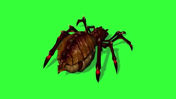 Fantasy Spider Running Back View Shadow Floor Green Screen — Stock Video