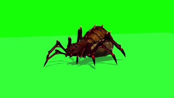 Fantasy Spider Running Shadow Floor Green Screen — Stock Video