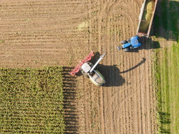 Aerial view of Combine harvests corn on the field - Harvest corn harvester and tractor in corn - Aerial Agriculture drone shot.