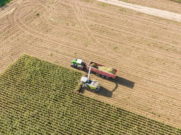 Aerial view of Combine harvests corn on the field - Harvest corn harvester and tractor in corn - Aerial Agriculture drone shot.