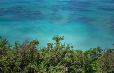 Yeşil bitkiler ve karşı Algarve, Portekiz, Avrupa'nın Atlantik Okyanusu mavi su çimen.