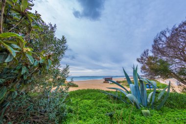 Çiçekli ağaçlar, Agave ve yeşil bitki örtüsü yoluyla Alvor, Algarve, Portekiz ünlü plaj görünümü. Güzel gökyüzü ve çerçevedeki ahşap çit.