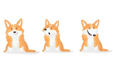 Üç Galce corgi köpek dizi.