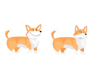 İki Galce corgi köpek dizi.