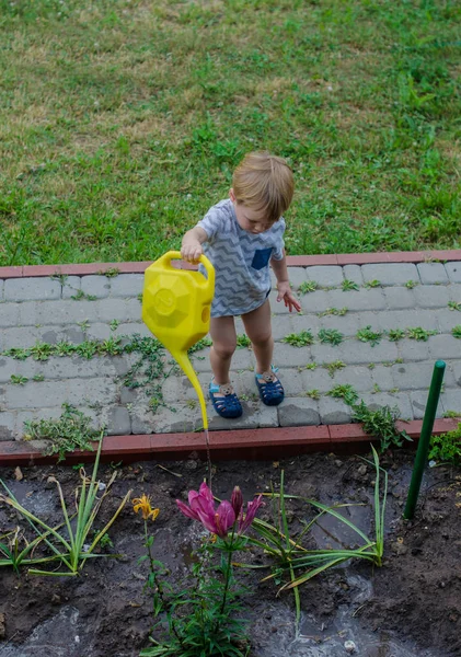 Kleine jongen helpt water de bloemen — Stockfoto