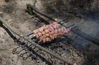 Barbekü ormanda kamp ateşi üzerinde
