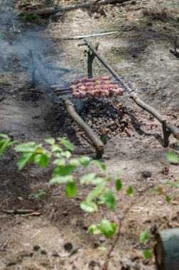 Barbekü ormanda kamp ateşi üzerinde