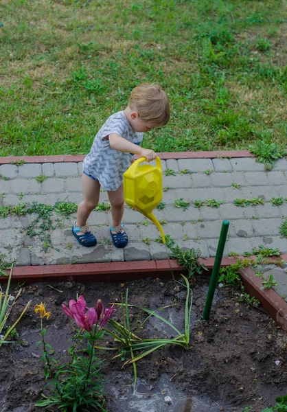 Kleine jongen helpt water de bloemen — Stockfoto