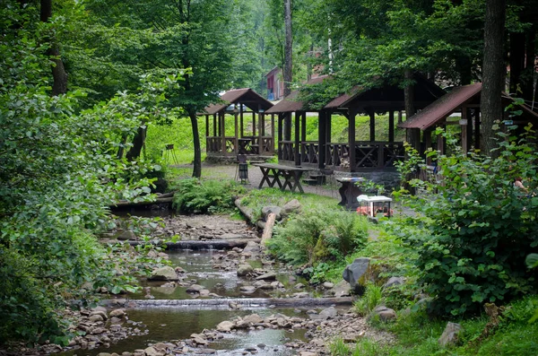 Outdoor recreation - picnic areas along a mountain river