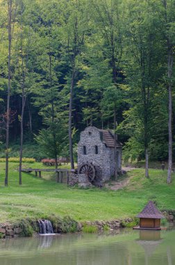 Eski su değirmeni parkta Schonborn Voyevodyno, Ukrayna