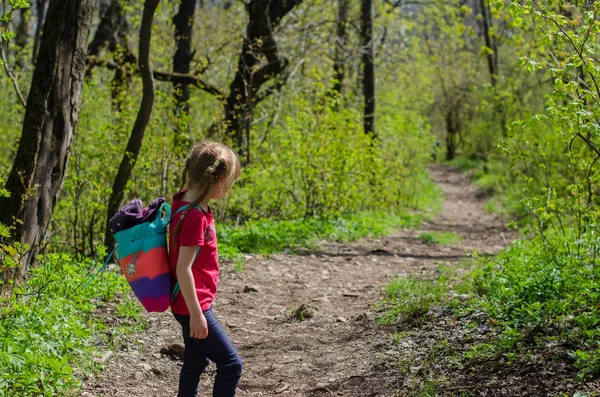 Meisje lopen of wandelen door het bos in het vroege voorjaar — Stockfoto