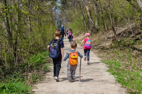 Kinderen van hun rug in het woud van Normafa — Stockfoto