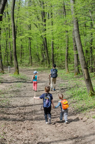 Kinderen van hun rug in het woud van Normafa — Stockfoto