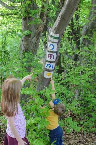 Proef tekenen op de boom en de kinderen in het woud van Normafa — Stockfoto