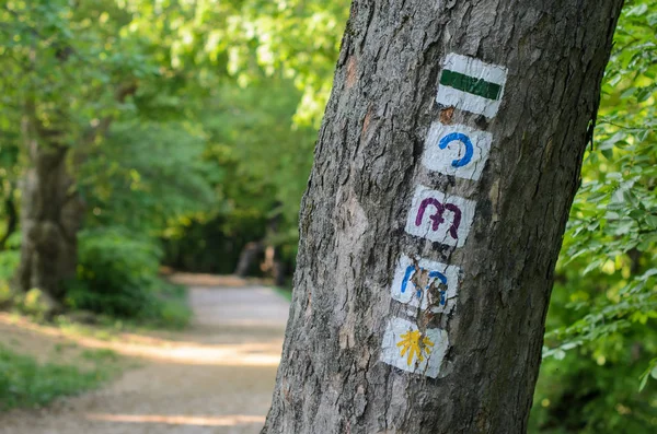 Signes d'essai sur l'arbre dans la forêt de Normafa Images De Stock Libres De Droits