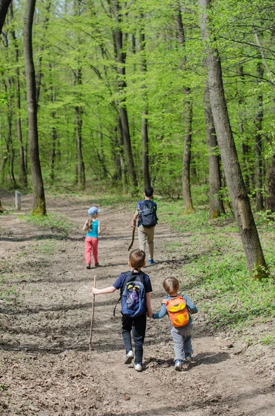 Kinderen van hun rug in het woud van Normafa — Stockfoto