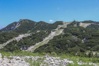 Slovenya 'daki Vogel Kayak Tatil Köyü' ne yazın bakın
