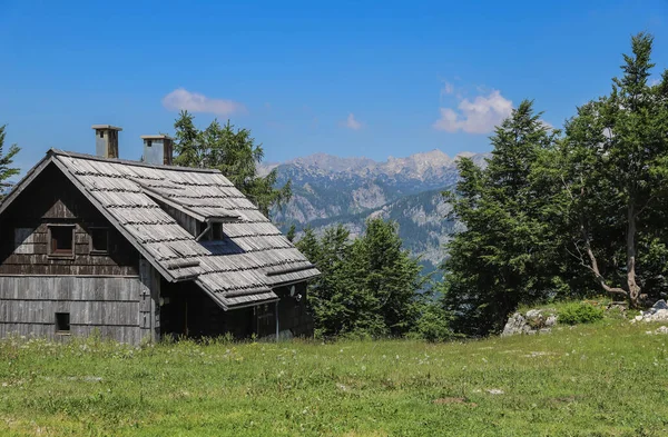 Utsikt över det virkesbevuxna huset i Vogel skidort i Slovenien under sommaren — Stockfoto