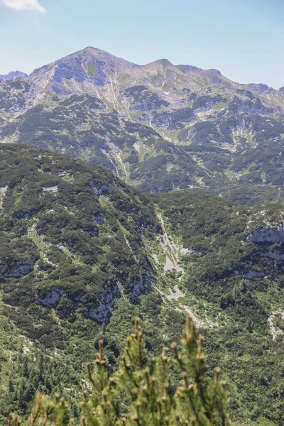 Uitzicht op de berg Vogel in Slovenië in de zomer — Stockfoto