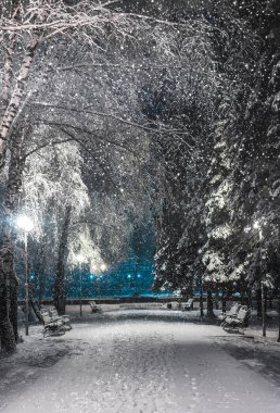     Kar kış aylarında kar Park'ta yürüyordunuz.