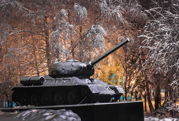     Kar kış aylarında kar Park'ta yürüyordunuz.