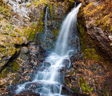 Manzara Dağ güneş ışığı, sonbahar ormandaki nehir. Düşük çekim hızlarında su hızlı jet vermek güzel bir sihir etkisi.