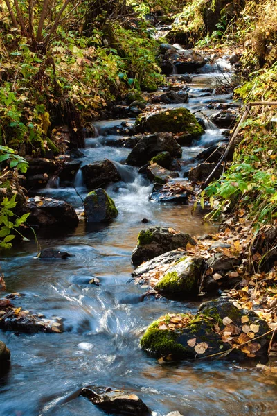 Krajina horská řeka, v podzimním lese na slunci. Rychlý proud vody při pomalé závěrky dát krásný magický efekt. — Stock fotografie