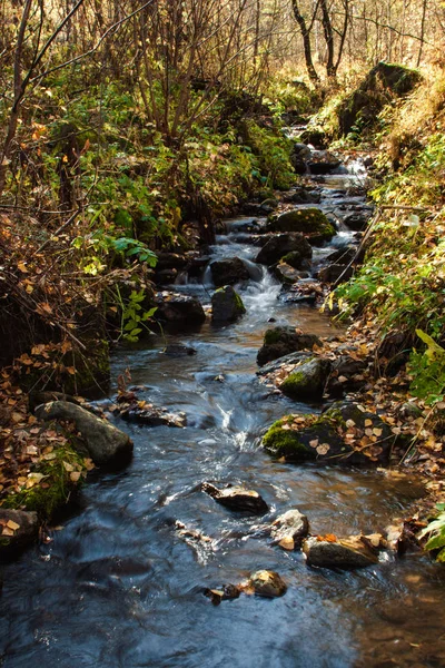 Landscape mountain river in autumn forest at sunlight. Fast jet of water at slow shutter speeds give a beautiful magic effect. Royalty Free Stock Images